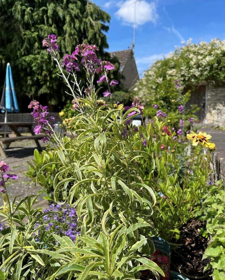 فندق The Bell At Old Sodbury شيبنج صودبيري المظهر الخارجي الصورة